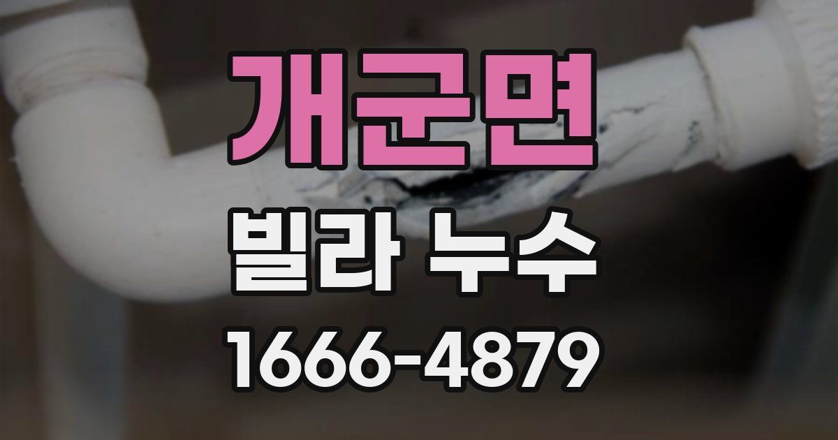 개군면 빌라 누수