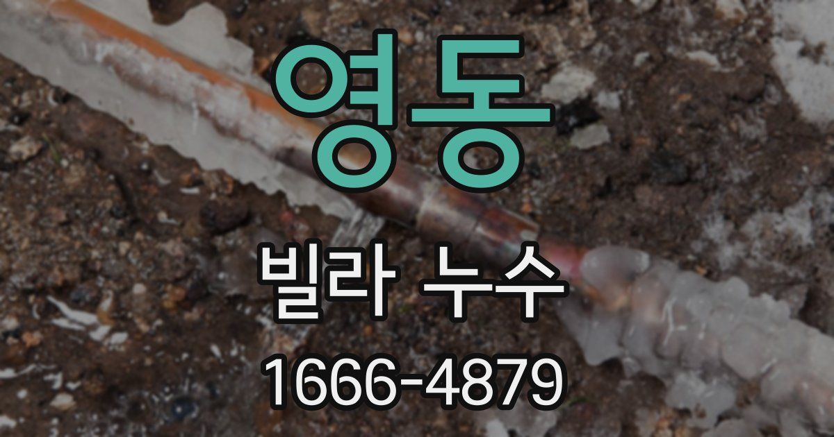 영동 빌라 누수