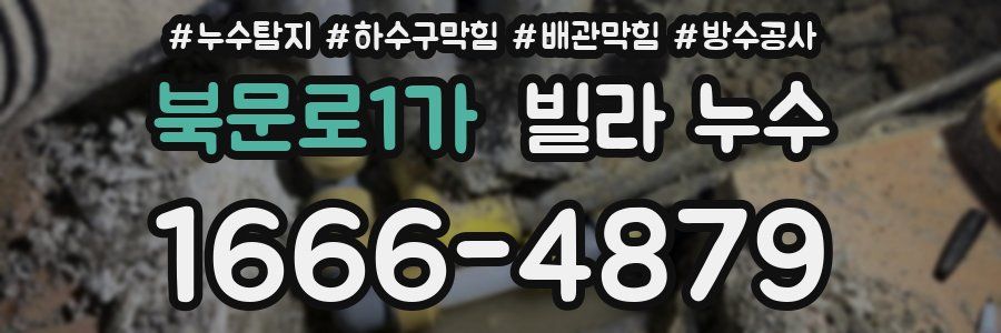 북문로1가 빌라 누수