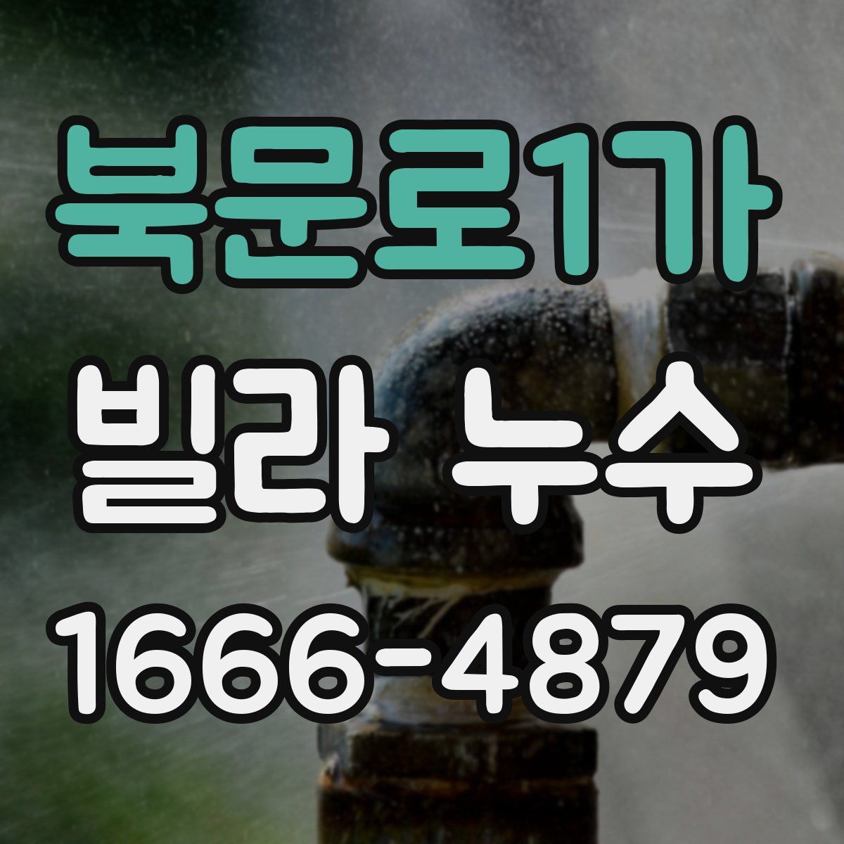 북문로1가 빌라 누수