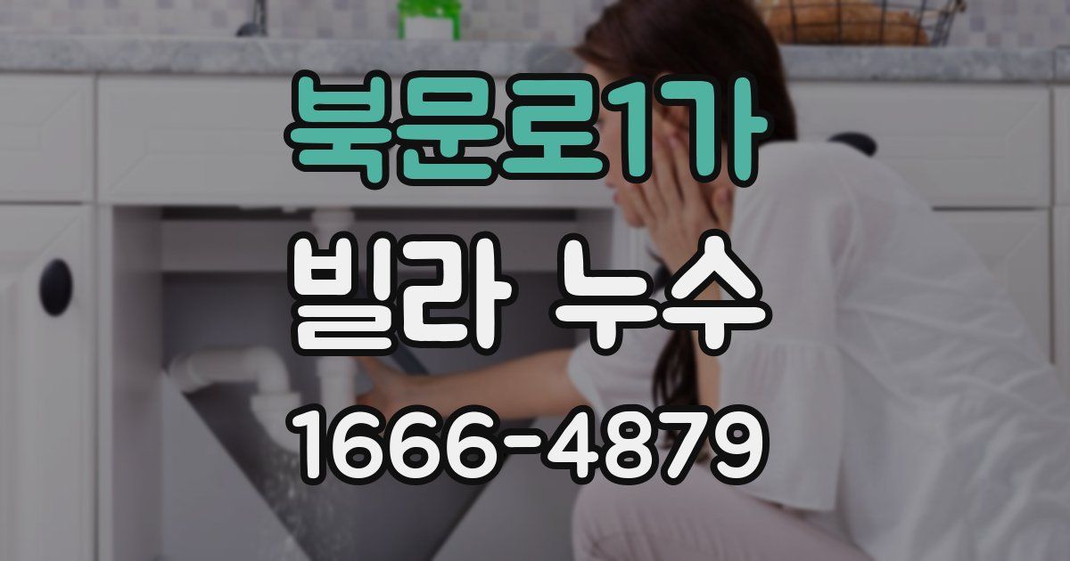 북문로1가 빌라 누수