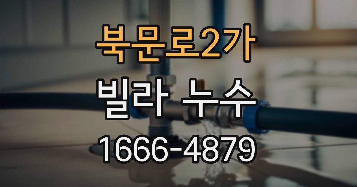 북문로2가 빌라 누수
