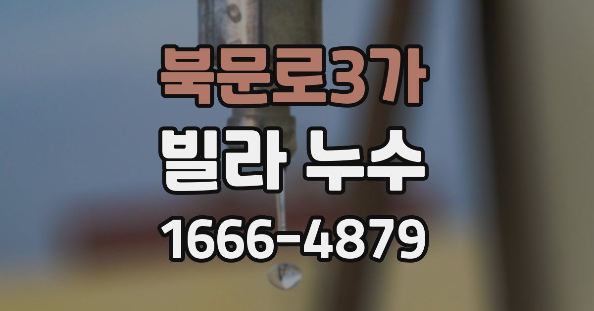 북문로3가 빌라 누수