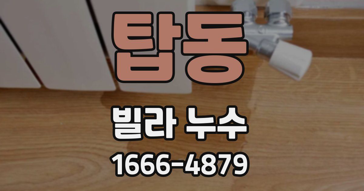 탑동 빌라 누수