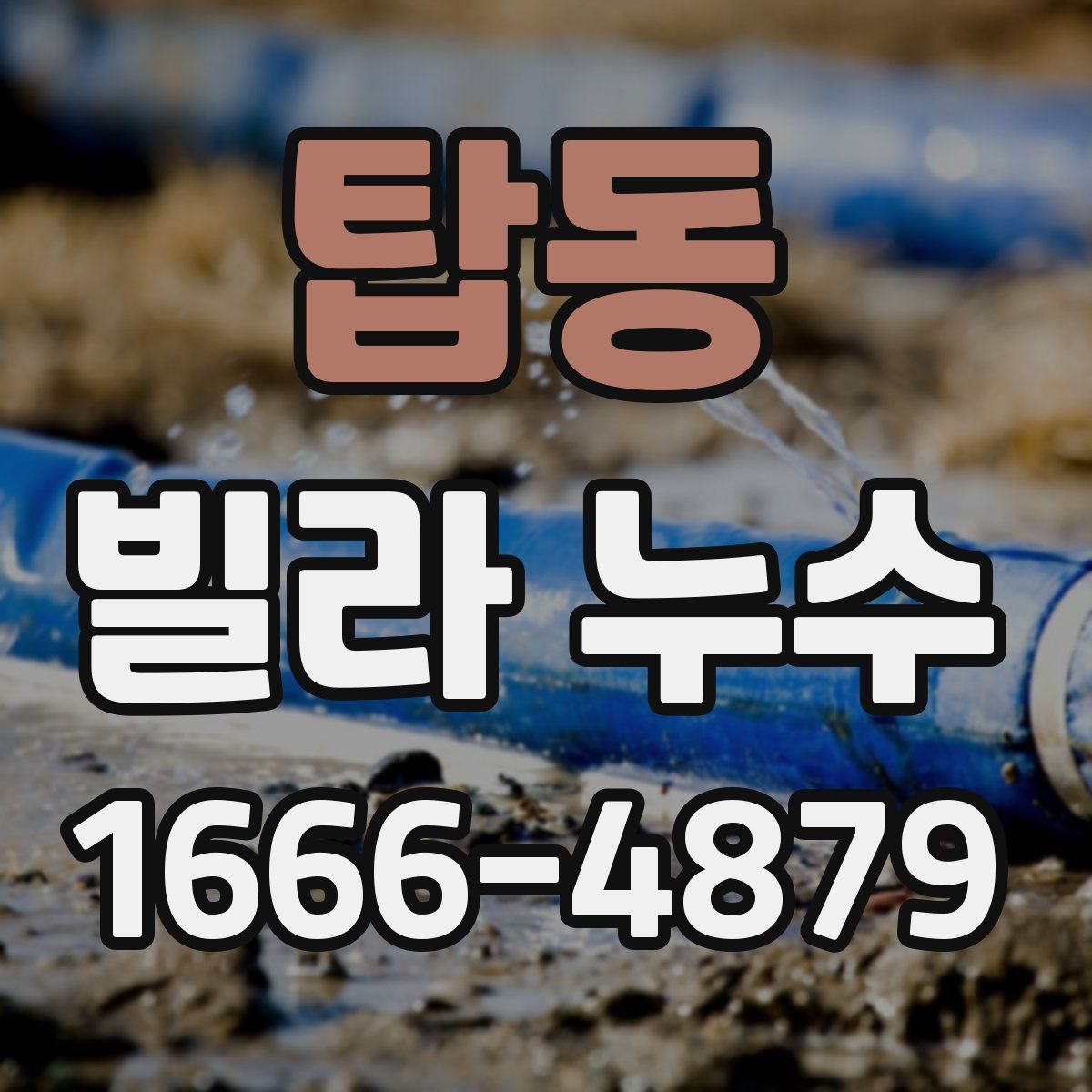 탑동 빌라 누수