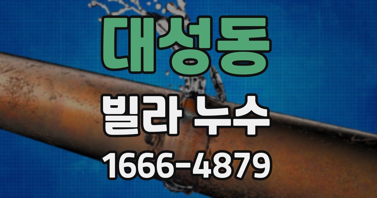 대성동 빌라 누수