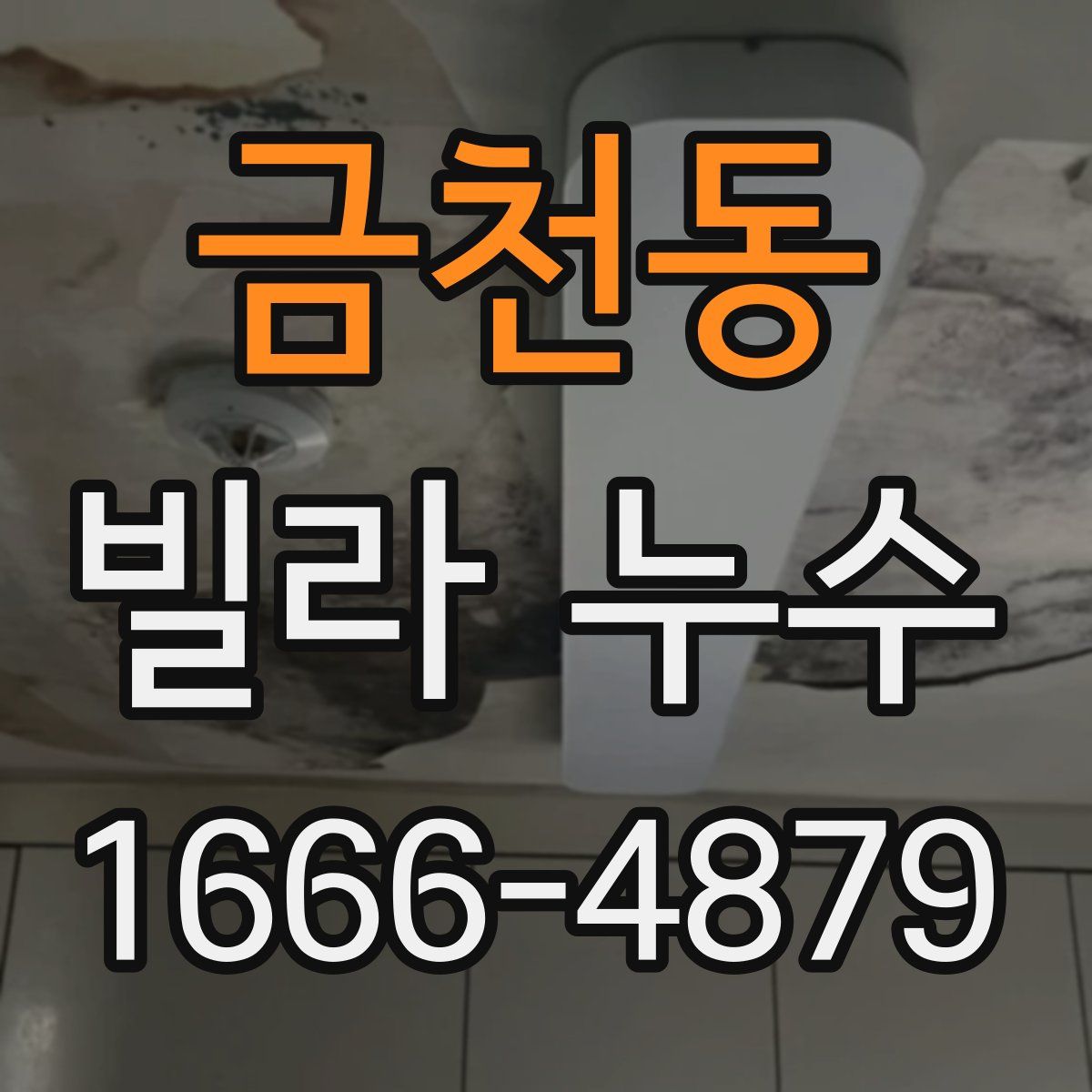 금천동 빌라 누수