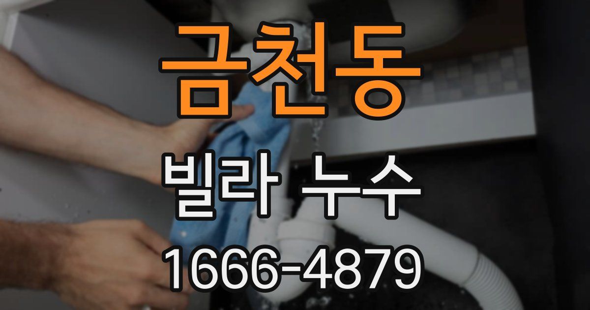 금천동 빌라 누수