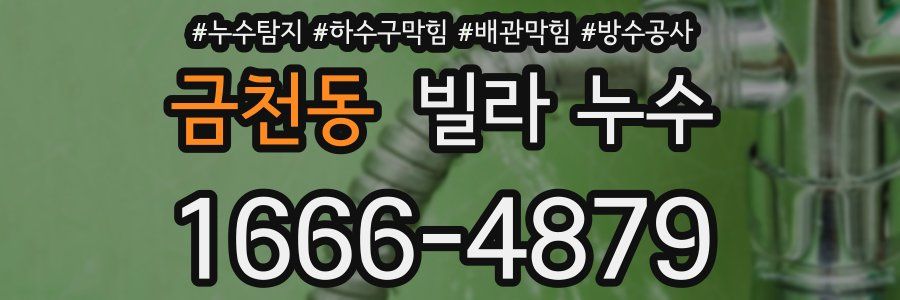 금천동 빌라 누수