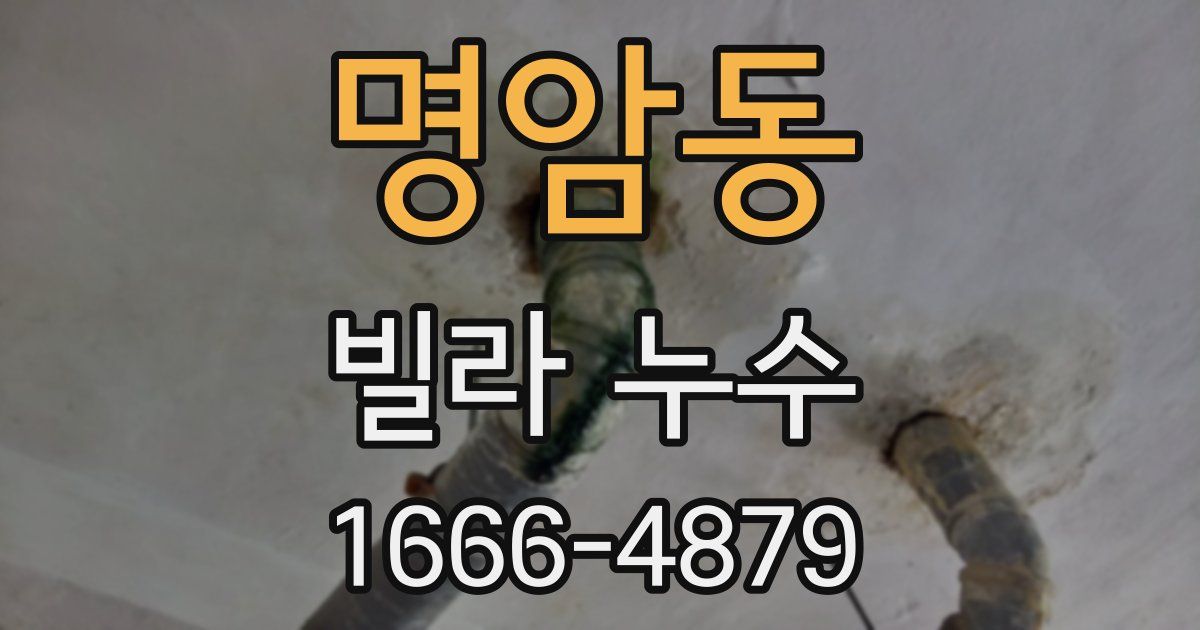 명암동 빌라 누수