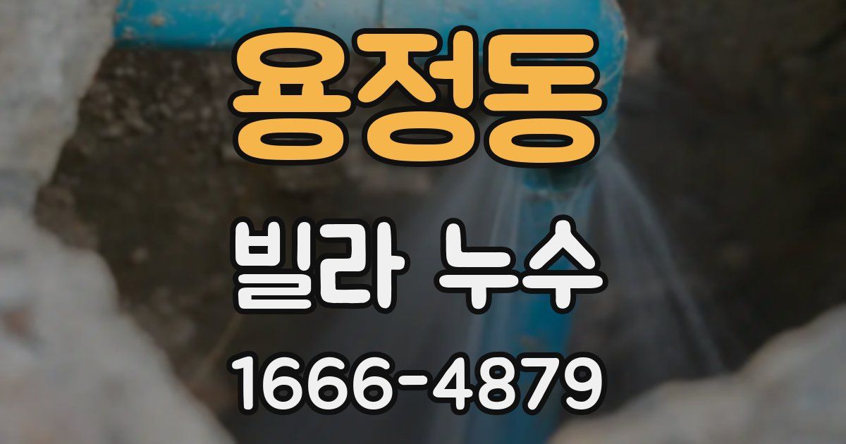용정동 빌라 누수