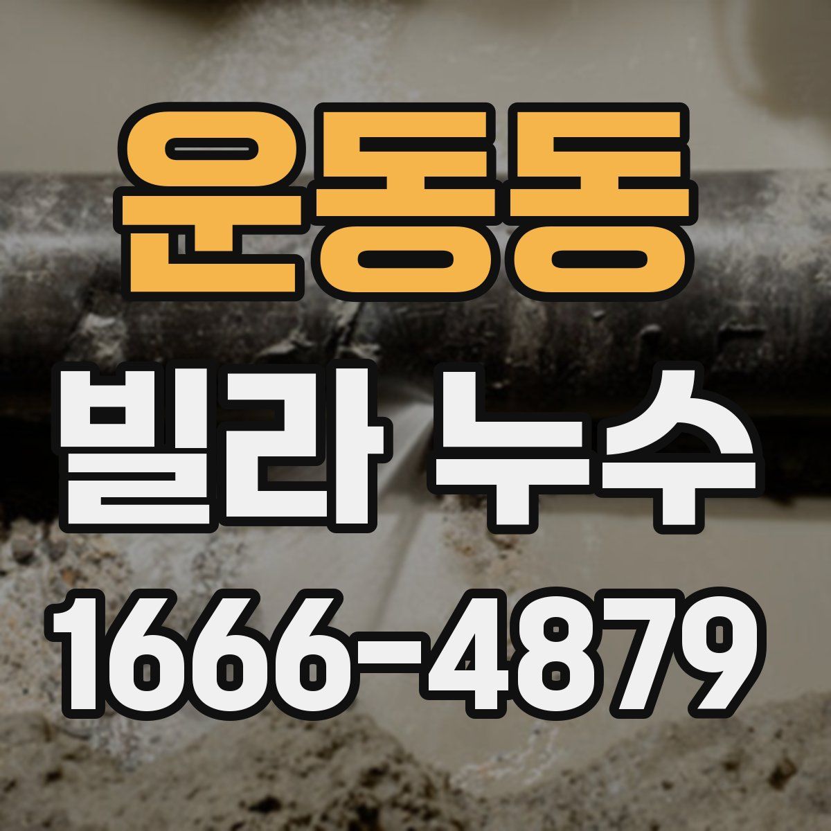 운동동 빌라 누수