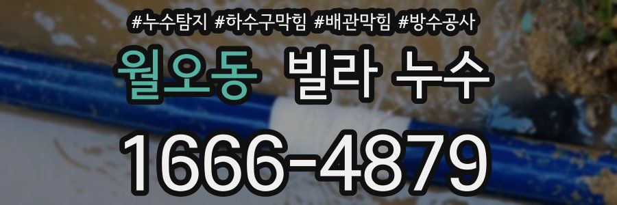 월오동 빌라 누수