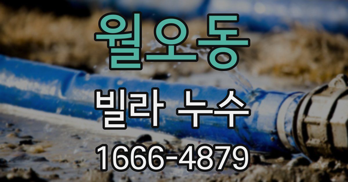 월오동 빌라 누수