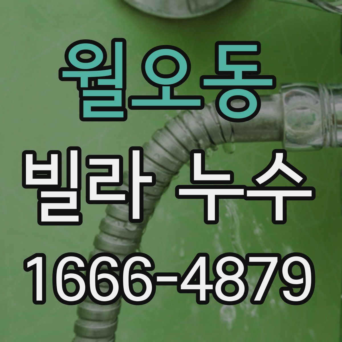 월오동 빌라 누수