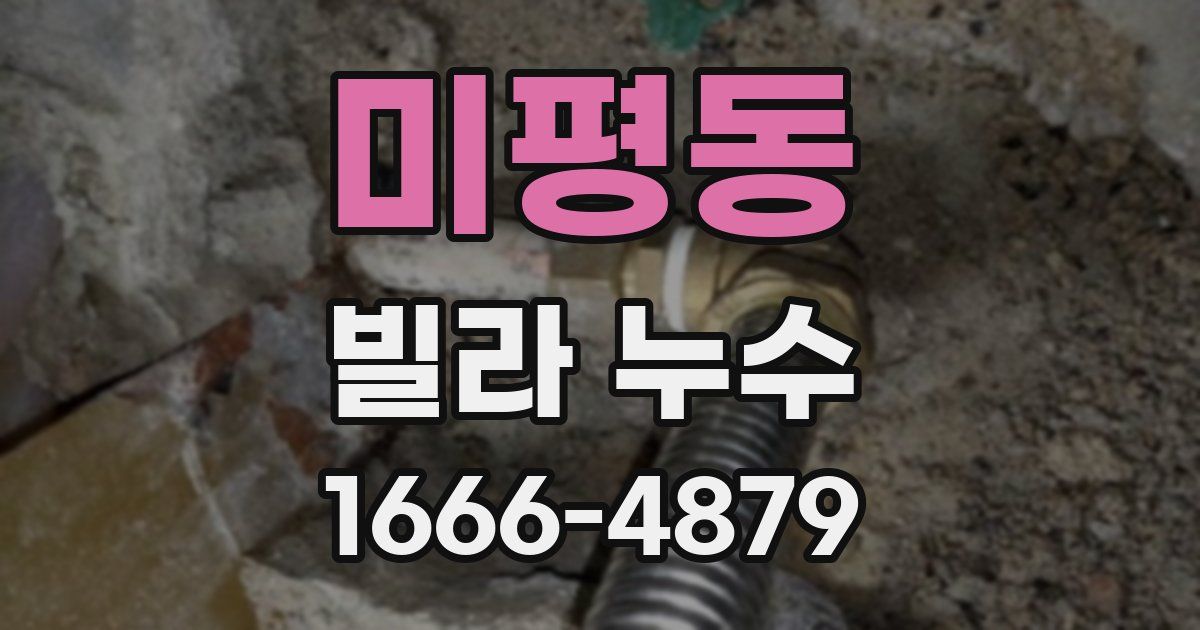 미평동 빌라 누수