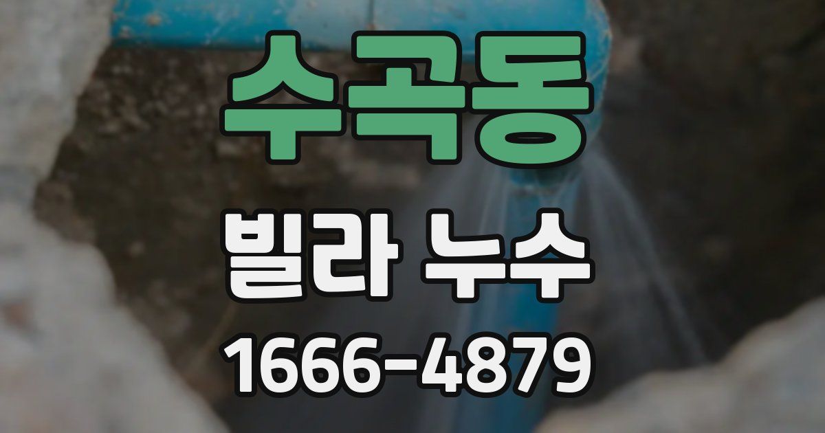 수곡동 빌라 누수