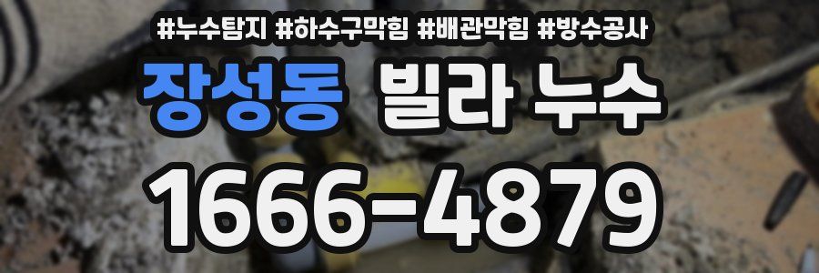 장성동 빌라 누수