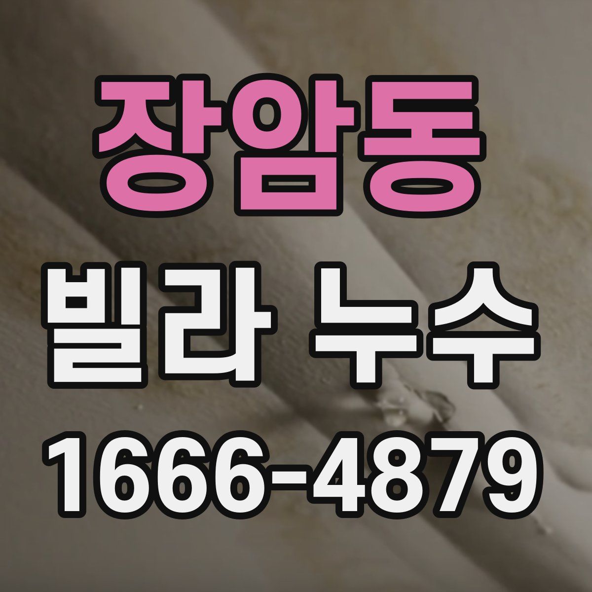 장암동 빌라 누수
