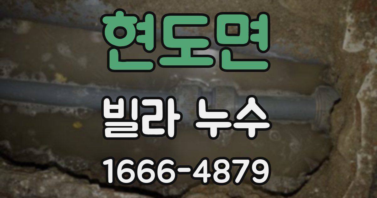 현도면 빌라 누수