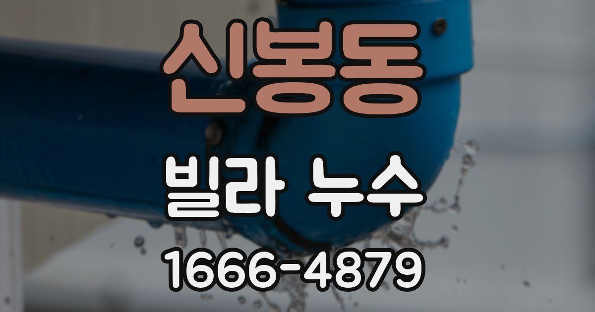 신봉동 빌라 누수