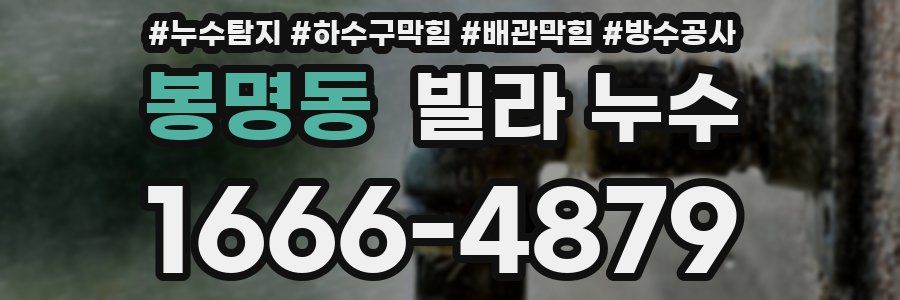 봉명동 빌라 누수