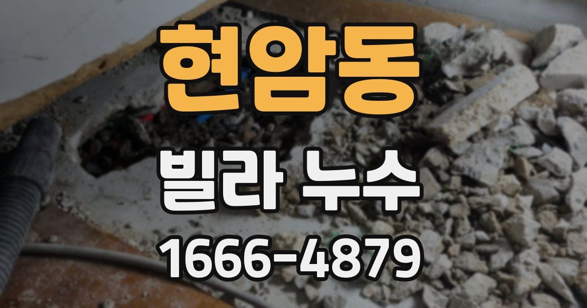 현암동 빌라 누수