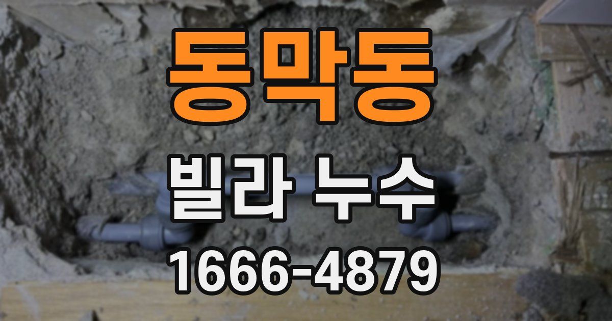 동막동 빌라 누수