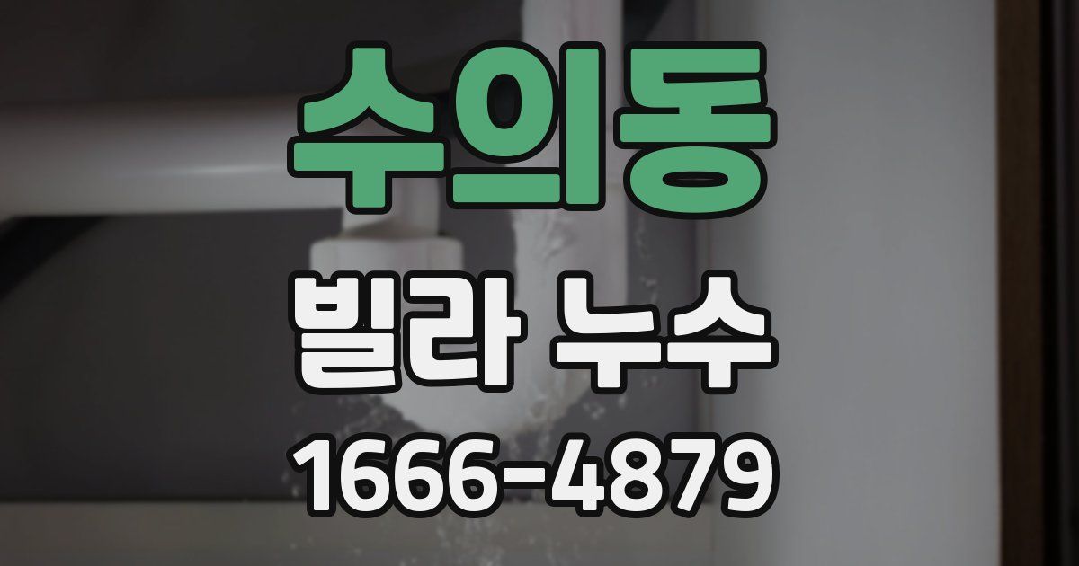 수의동 빌라 누수