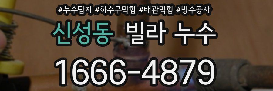 신성동 빌라 누수