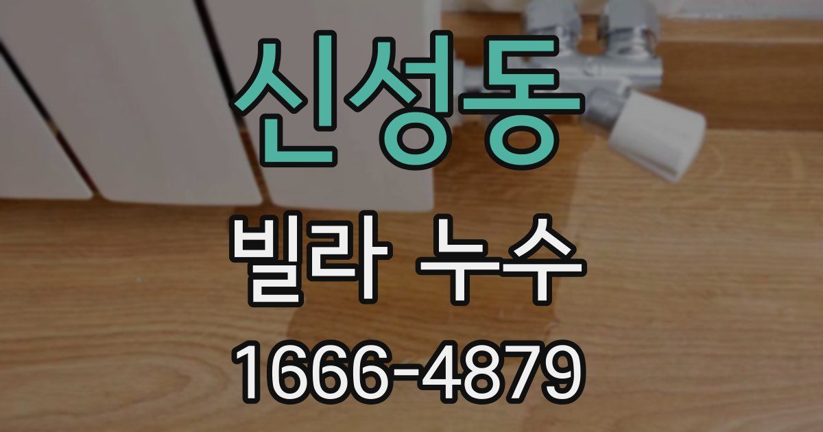 신성동 빌라 누수