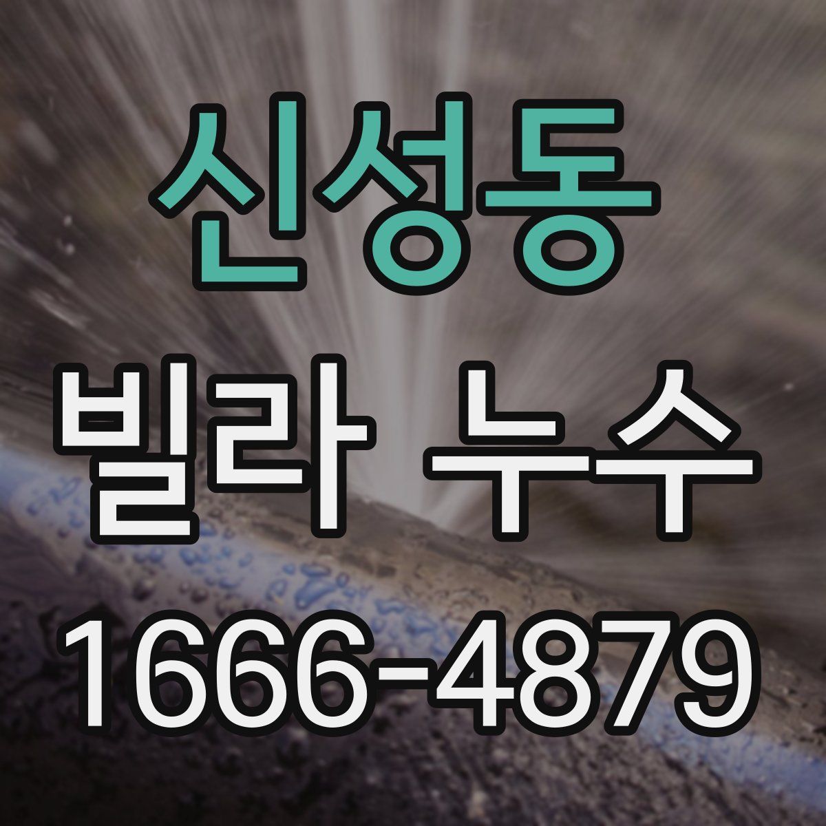 신성동 빌라 누수