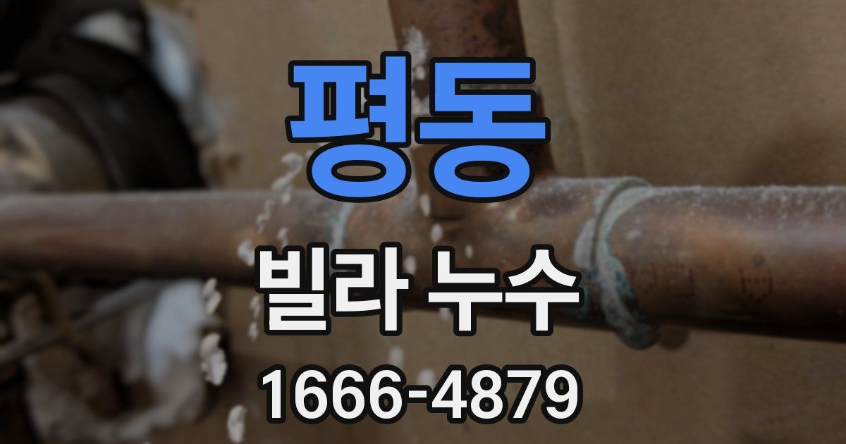 평동 빌라 누수