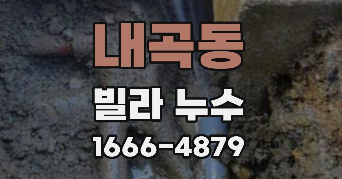 내곡동 빌라 누수