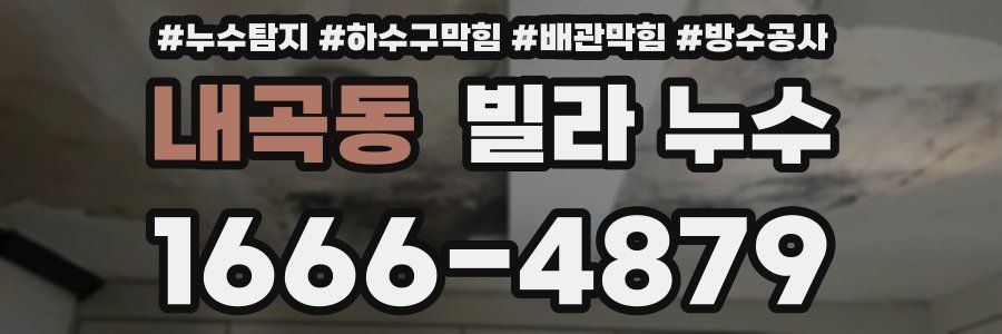 내곡동 빌라 누수