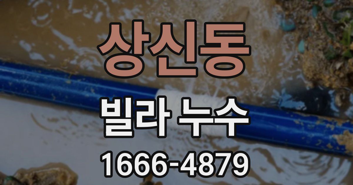 상신동 빌라 누수