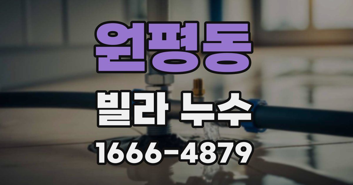 원평동 빌라 누수
