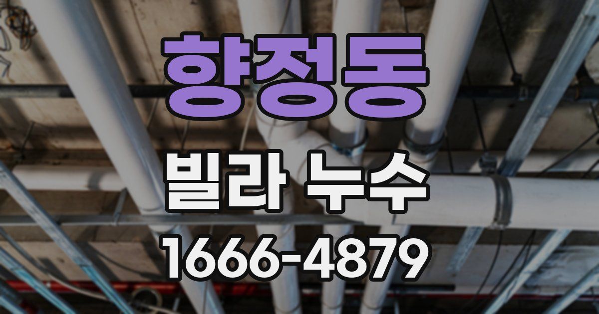 향정동 빌라 누수