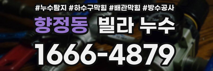 향정동 빌라 누수
