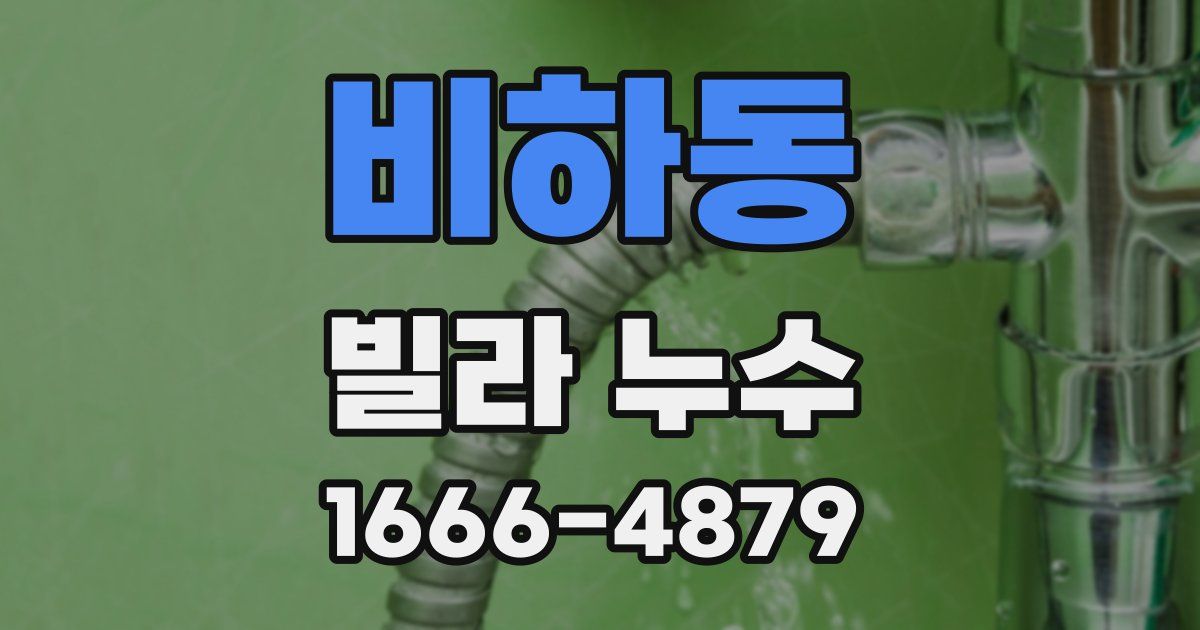 비하동 빌라 누수