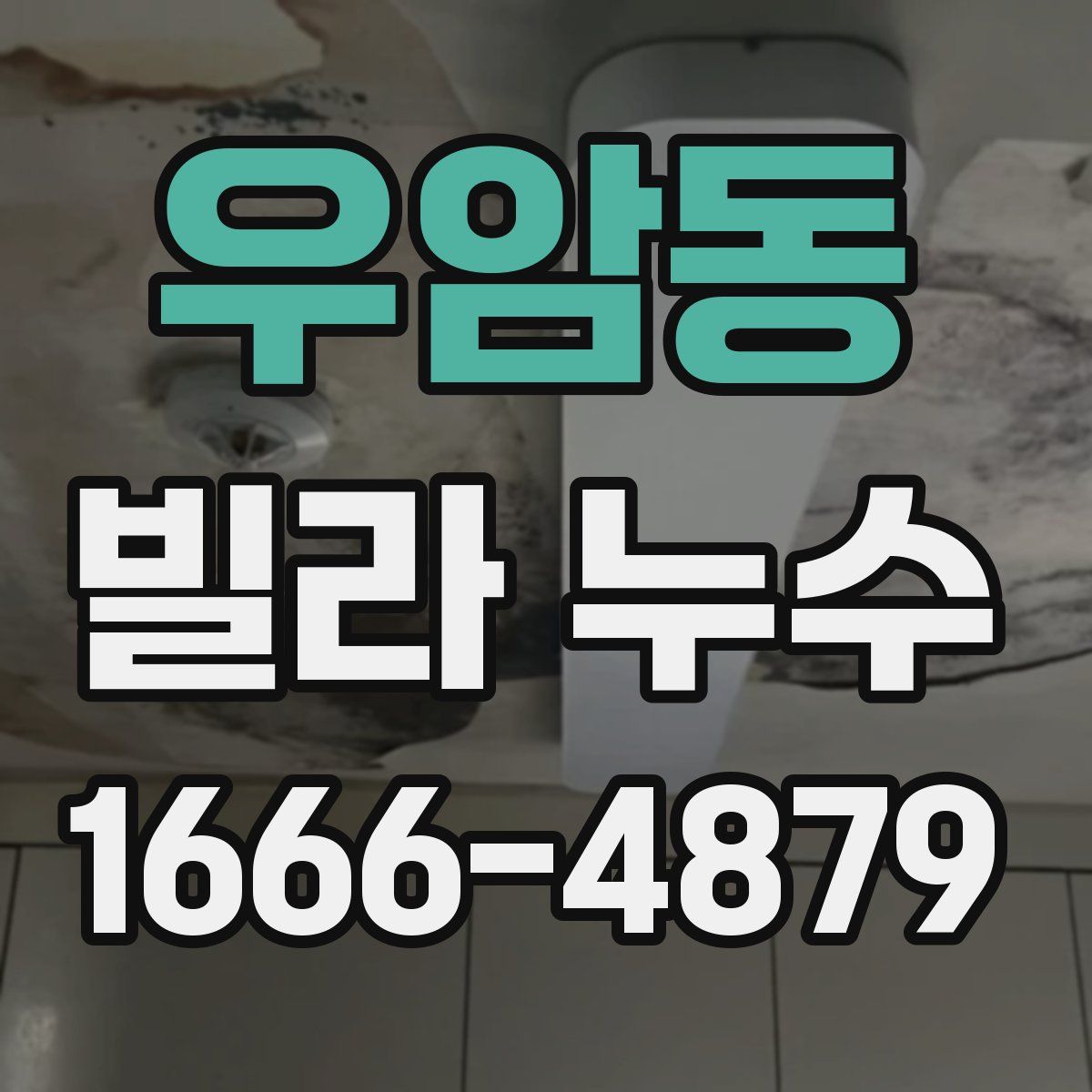 우암동 빌라 누수
