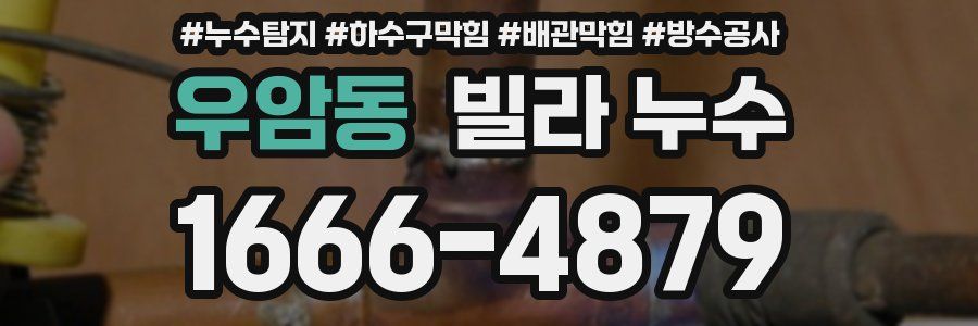 우암동 빌라 누수