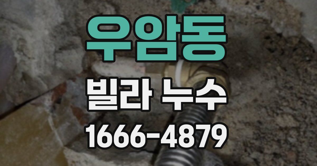 우암동 빌라 누수