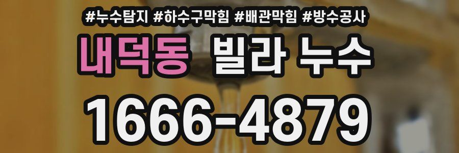내덕동 빌라 누수