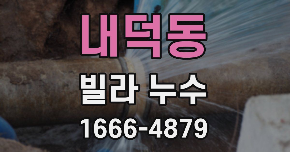 내덕동 빌라 누수