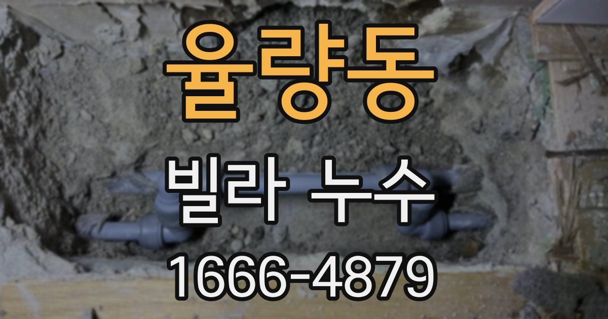 율량동 빌라 누수