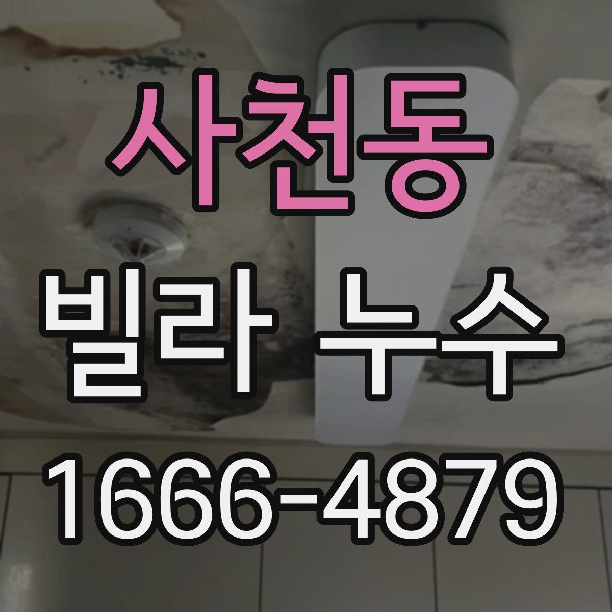 사천동 빌라 누수