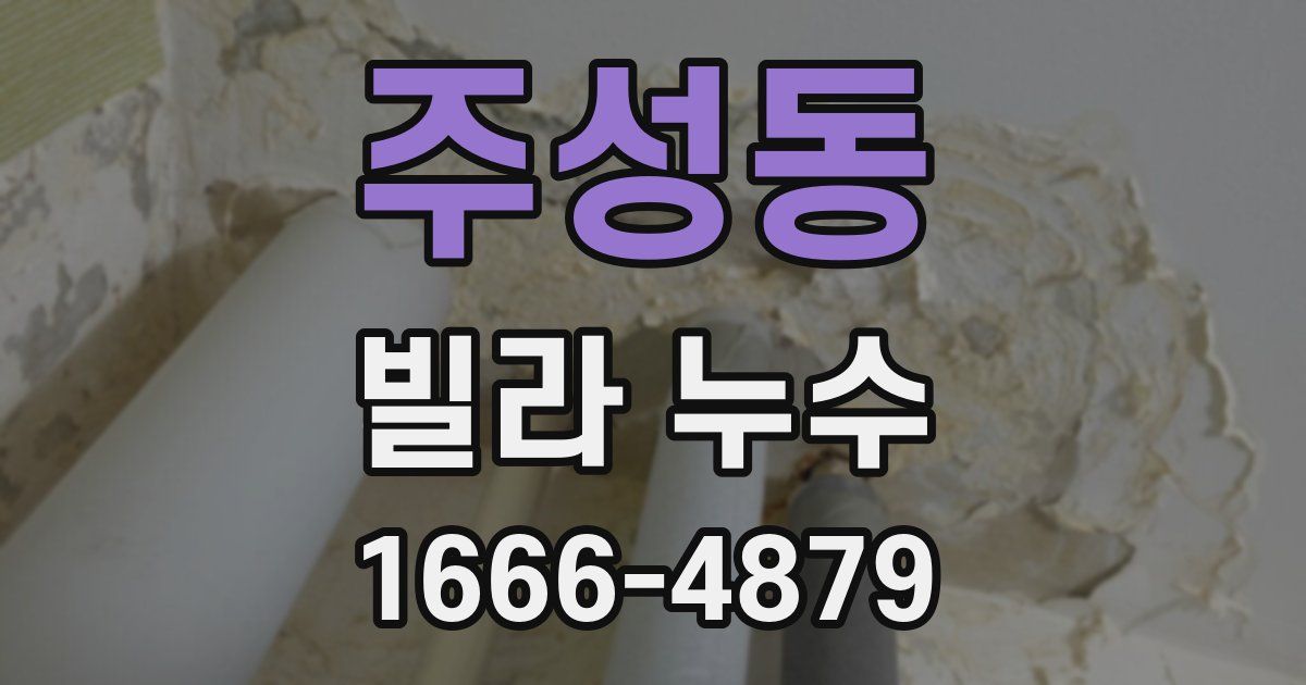 주성동 빌라 누수