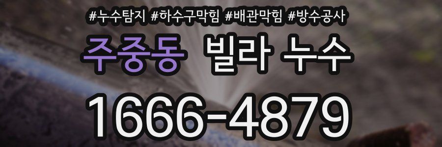 주중동 빌라 누수