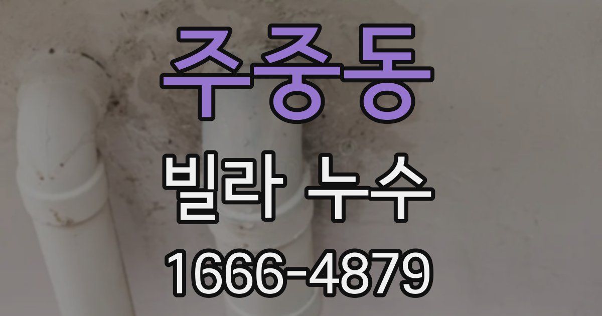 주중동 빌라 누수